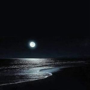 Meet your Posher, Krissy